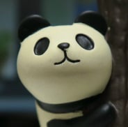 ぱんだ先輩